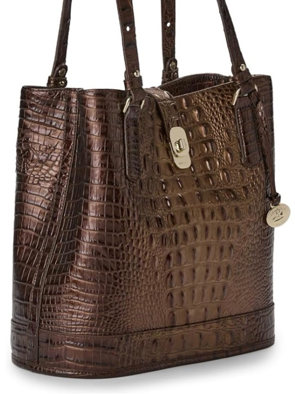 BRAHMIN FIORA Ganache Ombré Melbourne Bucket Bag NWT - Picture 4 of 17